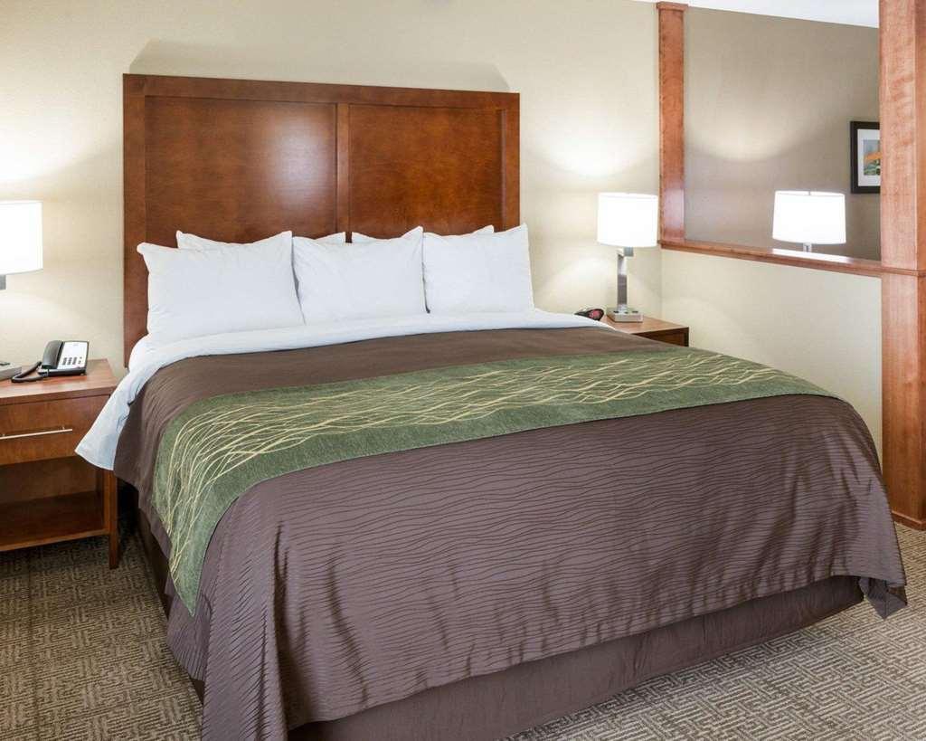 Comfort Inn & Suites West - Medical Center Rochester Quarto foto